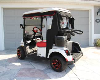 2020 E-Z G0 ELECTRIC LITHIUM BATTERIES $9,000