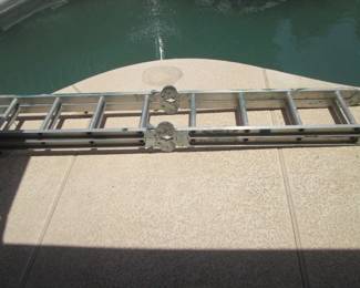 Folding Ladder