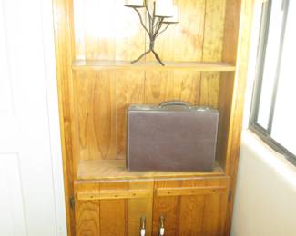 Tall Bookcase, Cabinet Storage, 30" X 10" X 73" High
