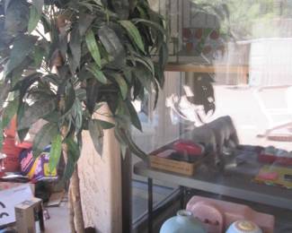 Potted Tree