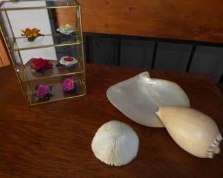 Hand-painted Porcelain Flowers w/Glass Display Case  
Set of six flowers (unmarked);  7.5” H; 5” W; 2.5” D 
Seashell Trio
Indian Ocean Melo Sea Snail Creature Seashell (5” L)
Natural white coral Fungia Scutaria mushroom (3” W)
Mother of Pearl Seashell (7” W) 
