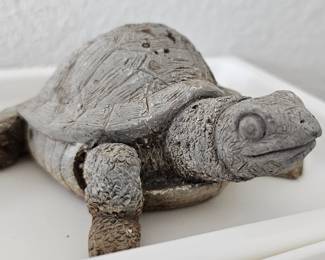 small friendly turtle
