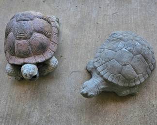 concrete turtles