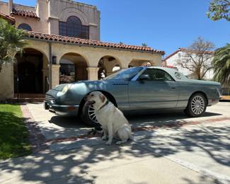 2004 Ford Thunderbird Pacific Coast Roadster, Edition Limited to 1000
Edition Number 537 of 1000
Mileage: 25,409
Color: Monterey Mist Green, features ash metallic removable hard top
Condition: Fair / Good
$15,000