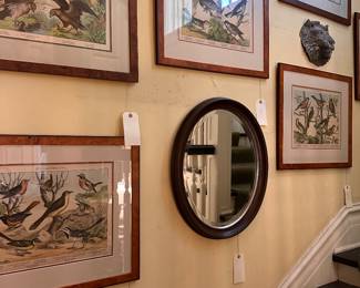 Hand colored bird prints