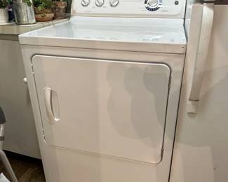 Gas Dryer