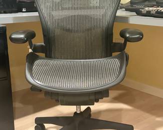 Fabulous Herman Miller Adjustable Chair. 