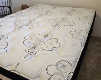 Queen Bed and Box Springs.