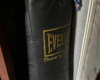 Boxing punch bag