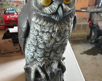 Hoot Owl Hoot!