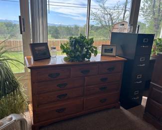 Dresser, File Cabinet, Miscellaneous Plants