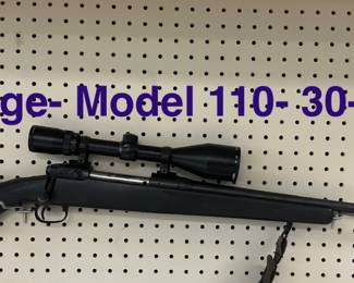 Savage Model 110 3006 cal.