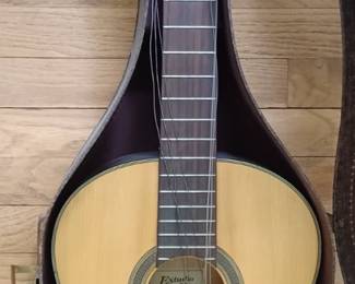 needs work guitar