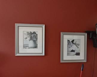pictures