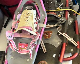 Snowshoes