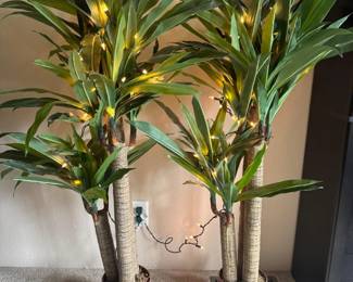 24 Pairof47TropicalPlantswStringLights2ExtraPots