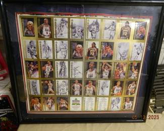 Team USA card poster