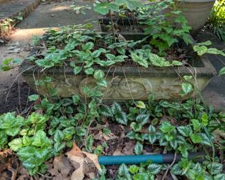 Concrete Planter