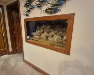 Large aquarium