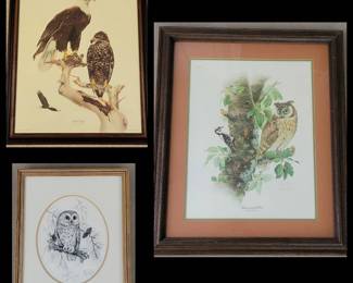 DON WHITLATCH SIGNED Prints Birds of Prey