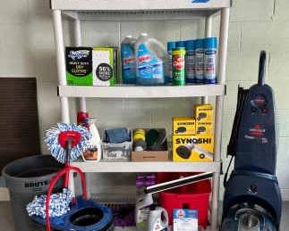 Scrub, Spray, Suck Squeegee