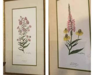 RAY HARM Signed Botanical Prints