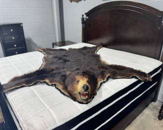 Brown Bear Rug Orlando Estate Auction
