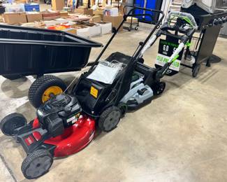 Lawn Mowers, Carts and BBQ Grills Orlando Estate Auction