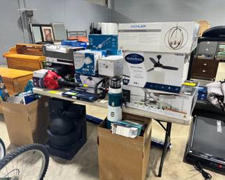 Lighting, Ceiling Fans and misc household items Orlando Estate Auction