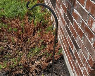 Black metal garden shepherd's hook.