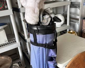 Blue golf bag with clubs.