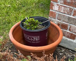 Terracotta planter with small potted plant.