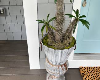 Pair of planters