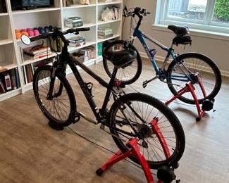 Two Trex bicycles with Portneer bike stands and Thule bike rack