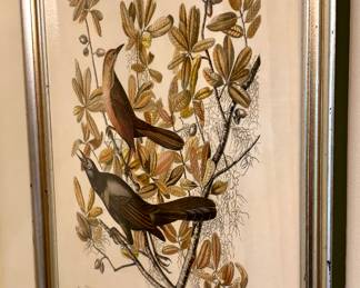 $200; "Boat Tailed Grackle" framed print by The National Association Audubon Society; 19x23