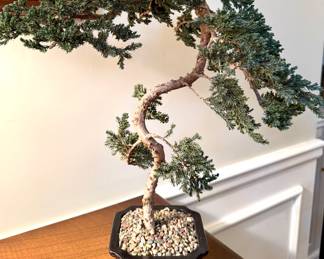 $60; faux bonsai tree; 18"