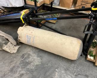 Punching Bag & Total Gym