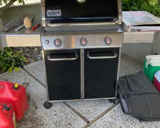 Weber Genesis Grill