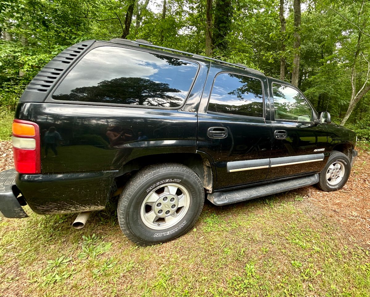 2003 Tauoe