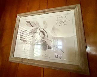 Signed and Numbered Botanical