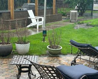 Owlee chaise lounges, planter, doodle chairs, Janus et cie bar cart