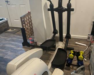 Dumbbells and kettlebells.