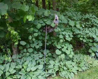 533Back Yard