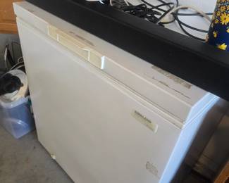 Kirkland chest type freezer