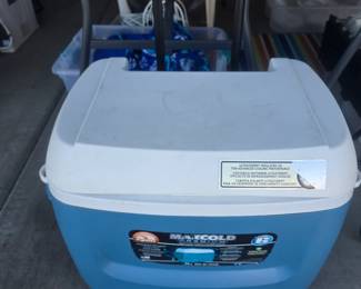Cooler on wheels