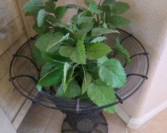 Metal vase with plant