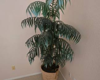 6' Palm tree