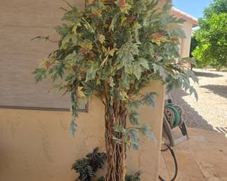6' green leaf tree