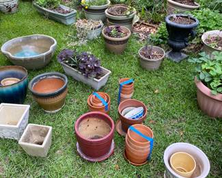 Pots and plants.