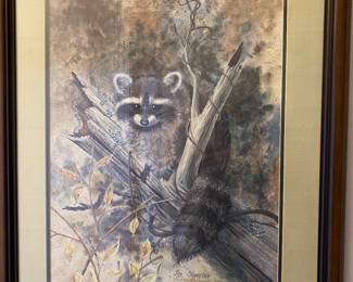 Cutest little Raccoon!